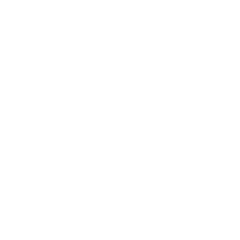 MVMTACADEMYY